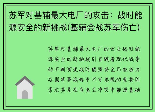 苏军对基辅最大电厂的攻击：战时能源安全的新挑战(基辅会战苏军伤亡)