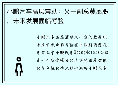 小鹏汽车高层震动：又一副总裁离职，未来发展面临考验