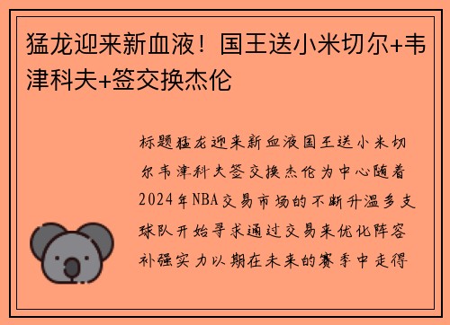 猛龙迎来新血液！国王送小米切尔+韦津科夫+签交换杰伦