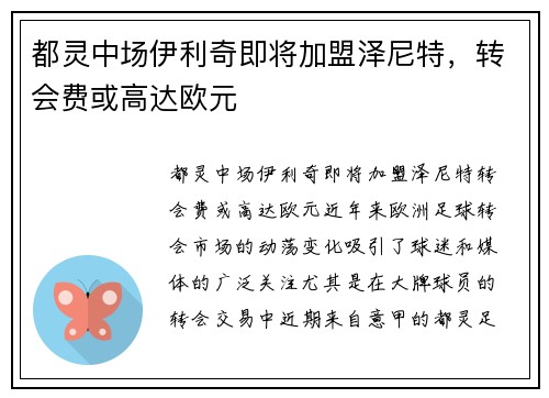 都灵中场伊利奇即将加盟泽尼特，转会费或高达欧元