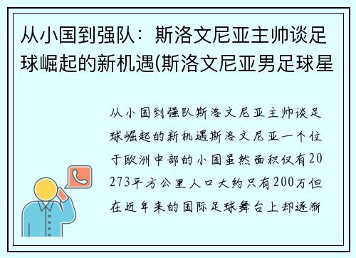 从小国到强队:斯洛文尼亚主帅谈足球崛起的新机遇(斯洛文尼亚男足球星)